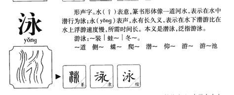 泳字五行|泳字的五行属什么